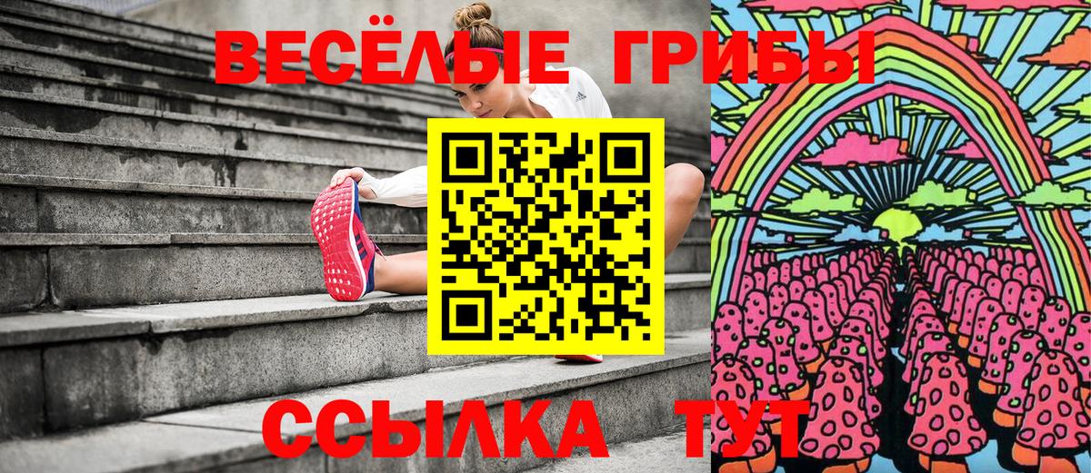 Галлюциногенные грибы ЛСД Строитель