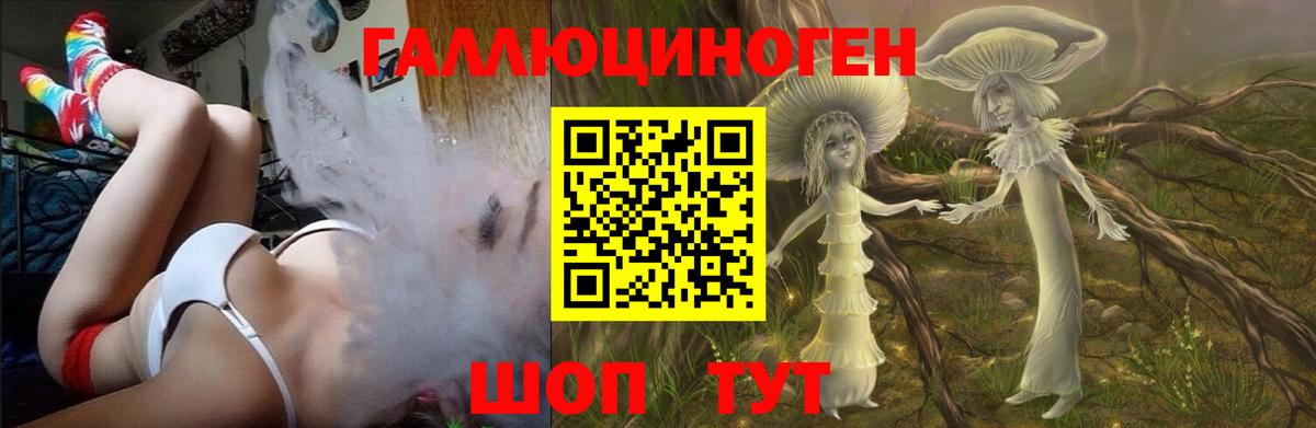 Псилоцибиновые грибы Psilocybine cubensis  купить наркотики цена  Вход с VPN  Строитель  Галлюциногенные грибы ЛСД 